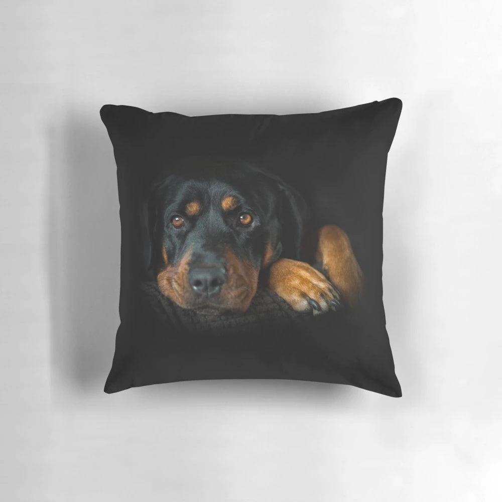 Rottweiler dog relaxing on a comfortable pillow