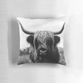 A black and white photograph of a Scottish Highland cattle in a natural, wilderness setting