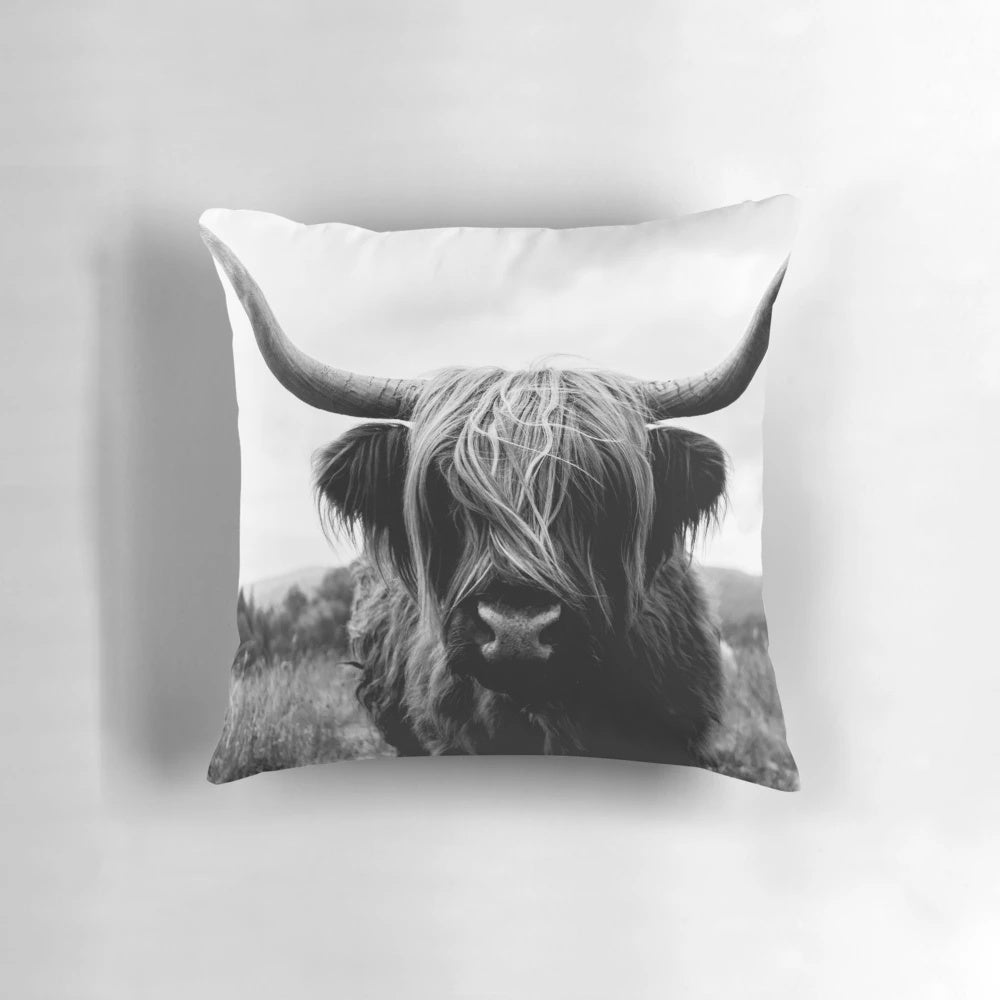 A black and white photograph of a Scottish Highland cattle in a natural, wilderness setting