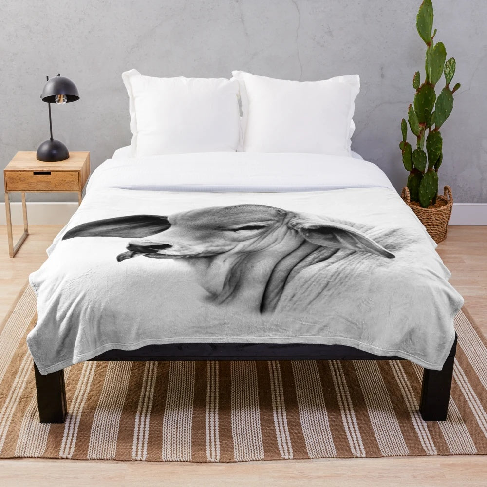 Brahman calf portrait wall art plush blanket