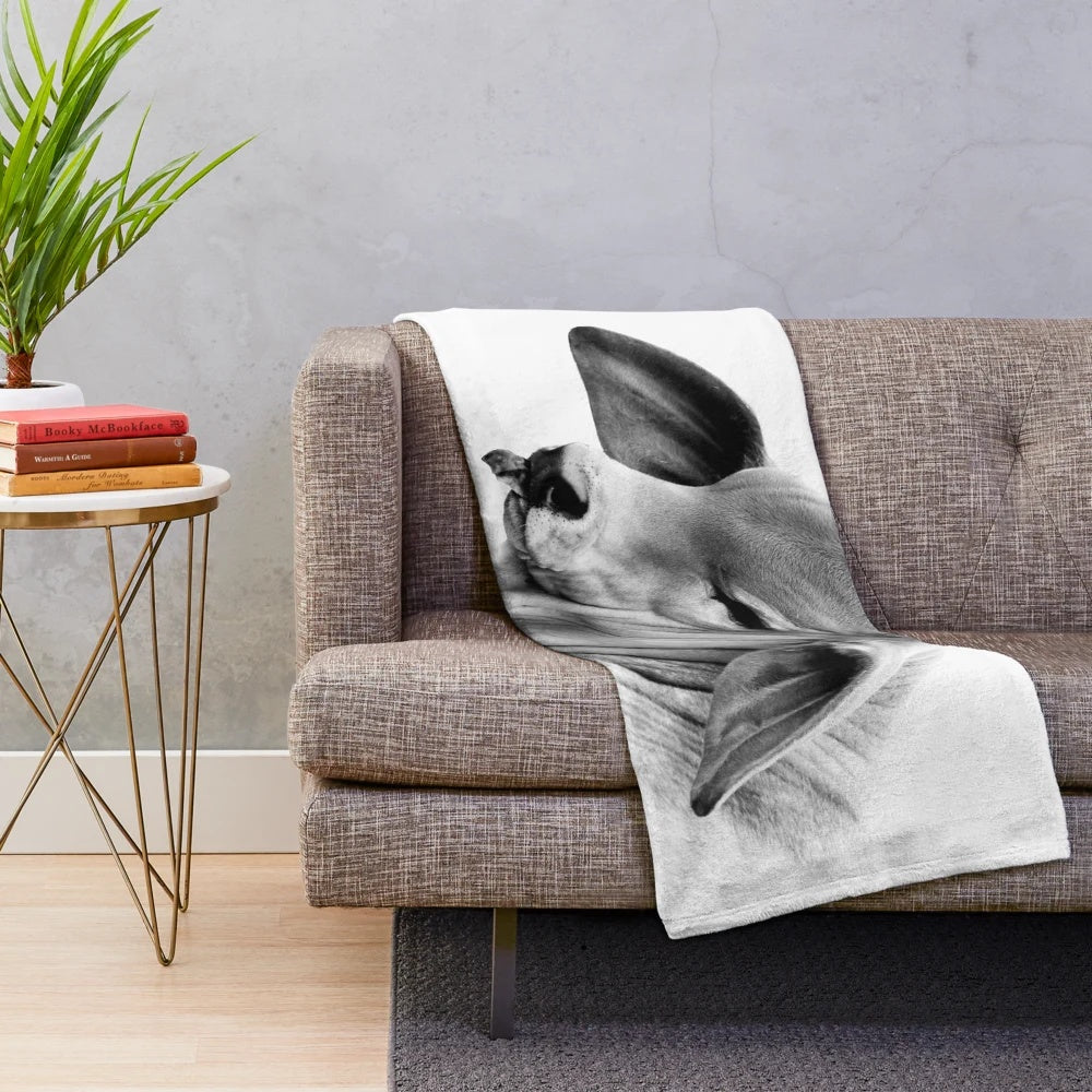 Brahman calf portrait wall art plush blanket
