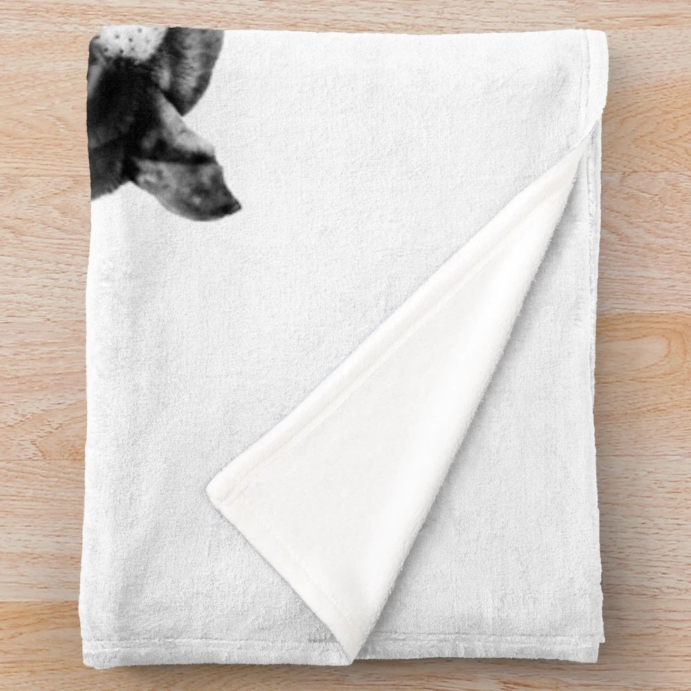 Brahman calf portrait wall art plush blanket