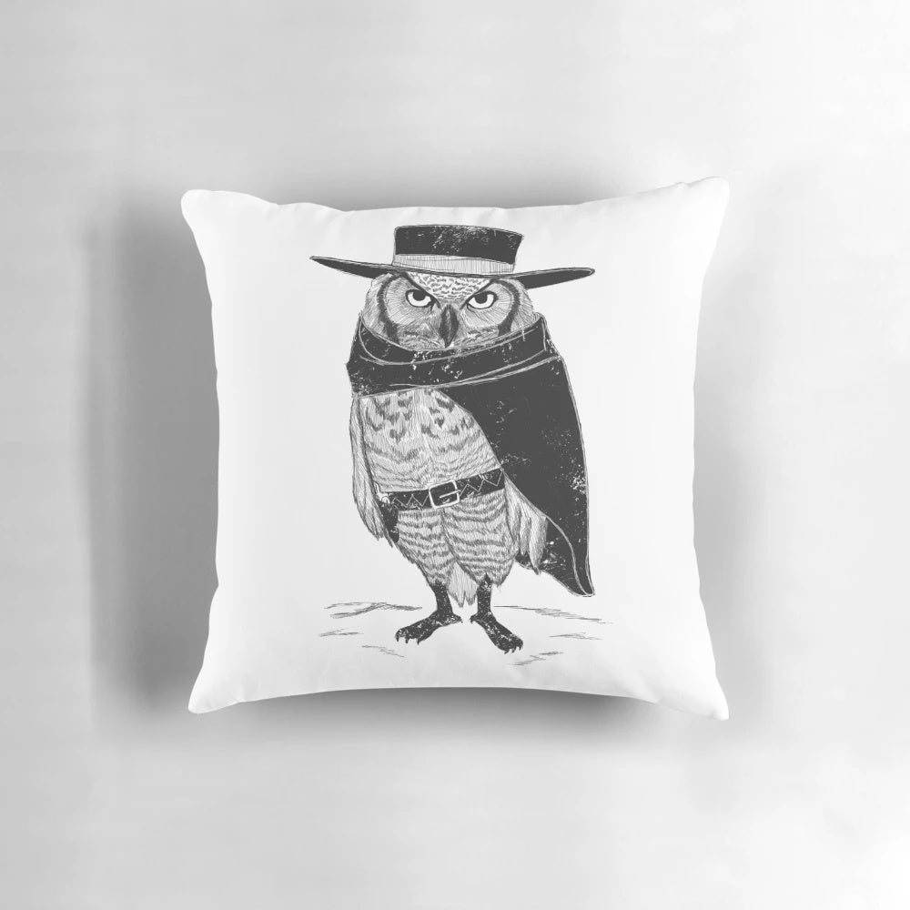 A decorative square pillow with a western-inspired owl design, featuring a fistful of feathers and a rustic, farmhouse aesthetic.