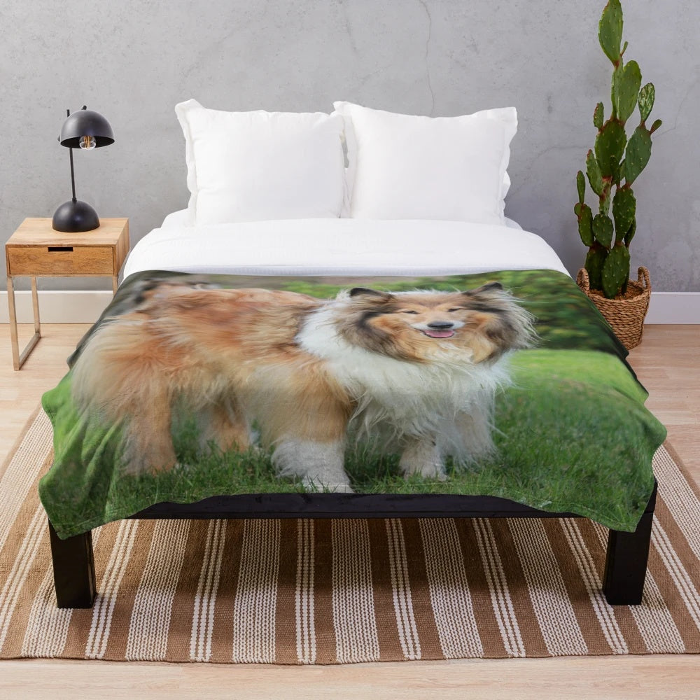 Sable rough collie plush blanket with nature inspired design