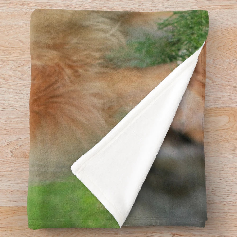 Sable rough collie plush blanket with nature inspired design