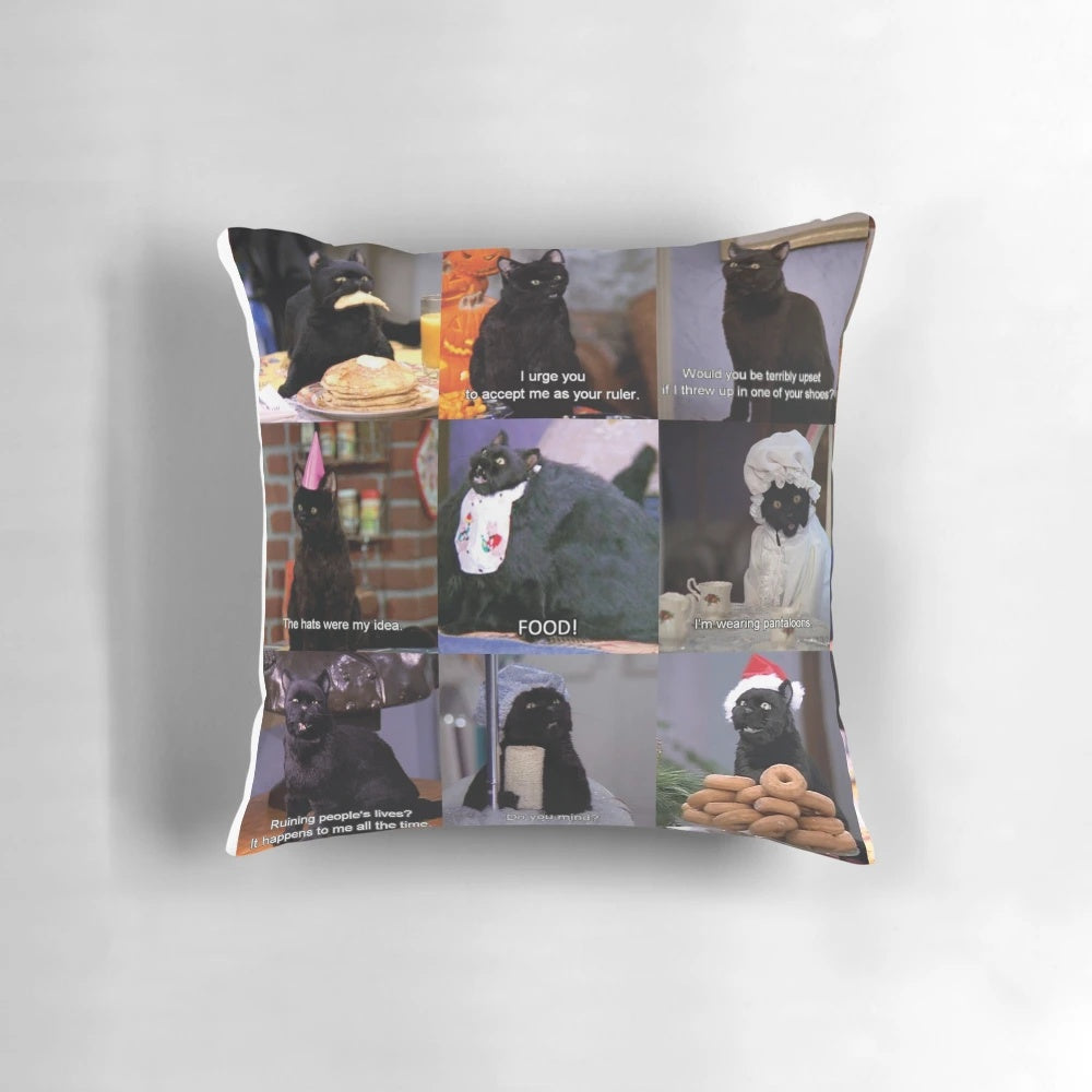 A decorative throw pillow featuring a whimsical design inspired by the Salem witch trials and 90s sitcom culture.