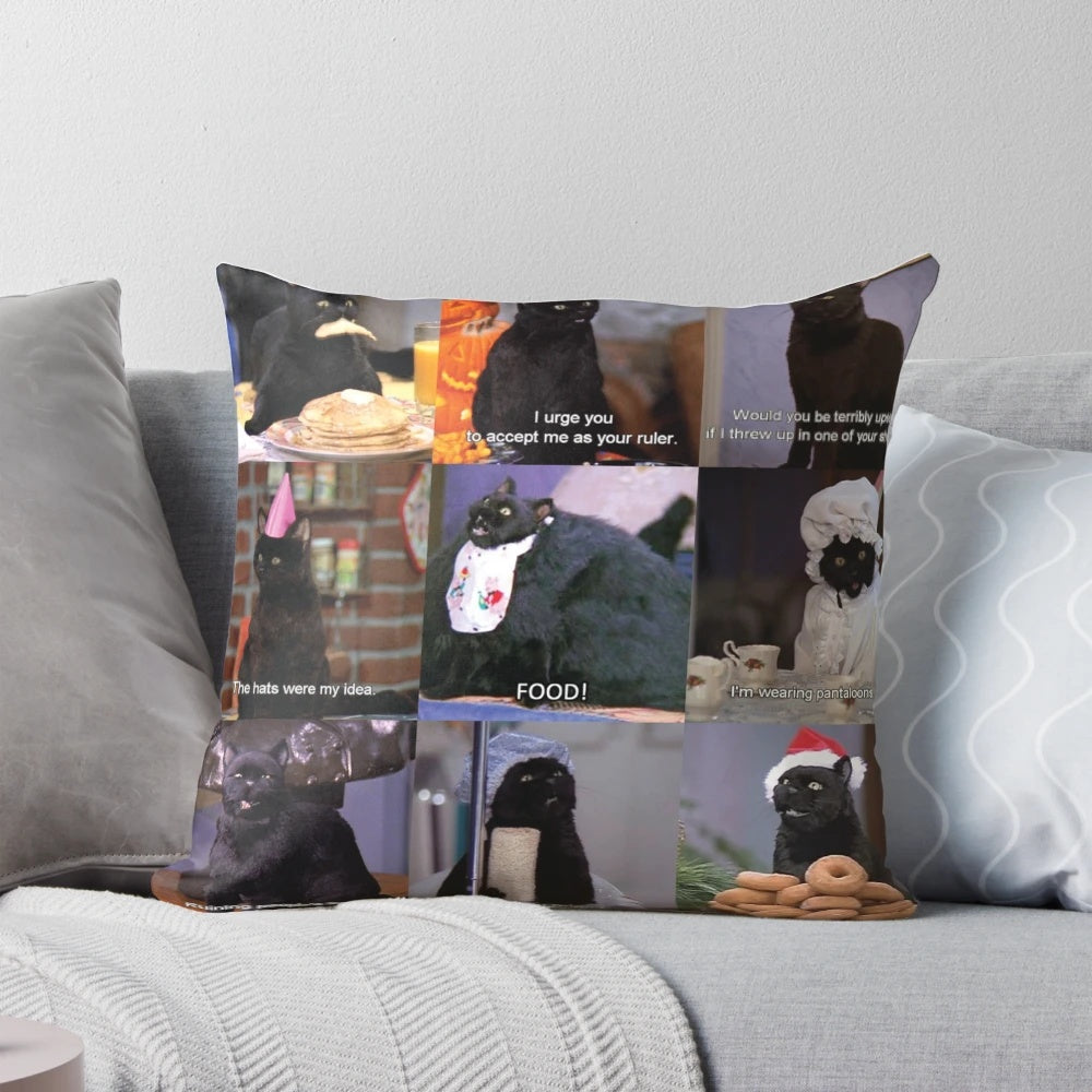 A decorative throw pillow featuring a whimsical design inspired by the Salem witch trials and 90s sitcom culture.