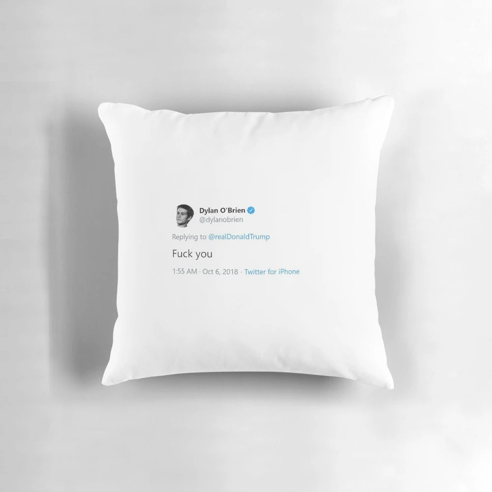 Dylan O'Brien themed pillow design with political commentary