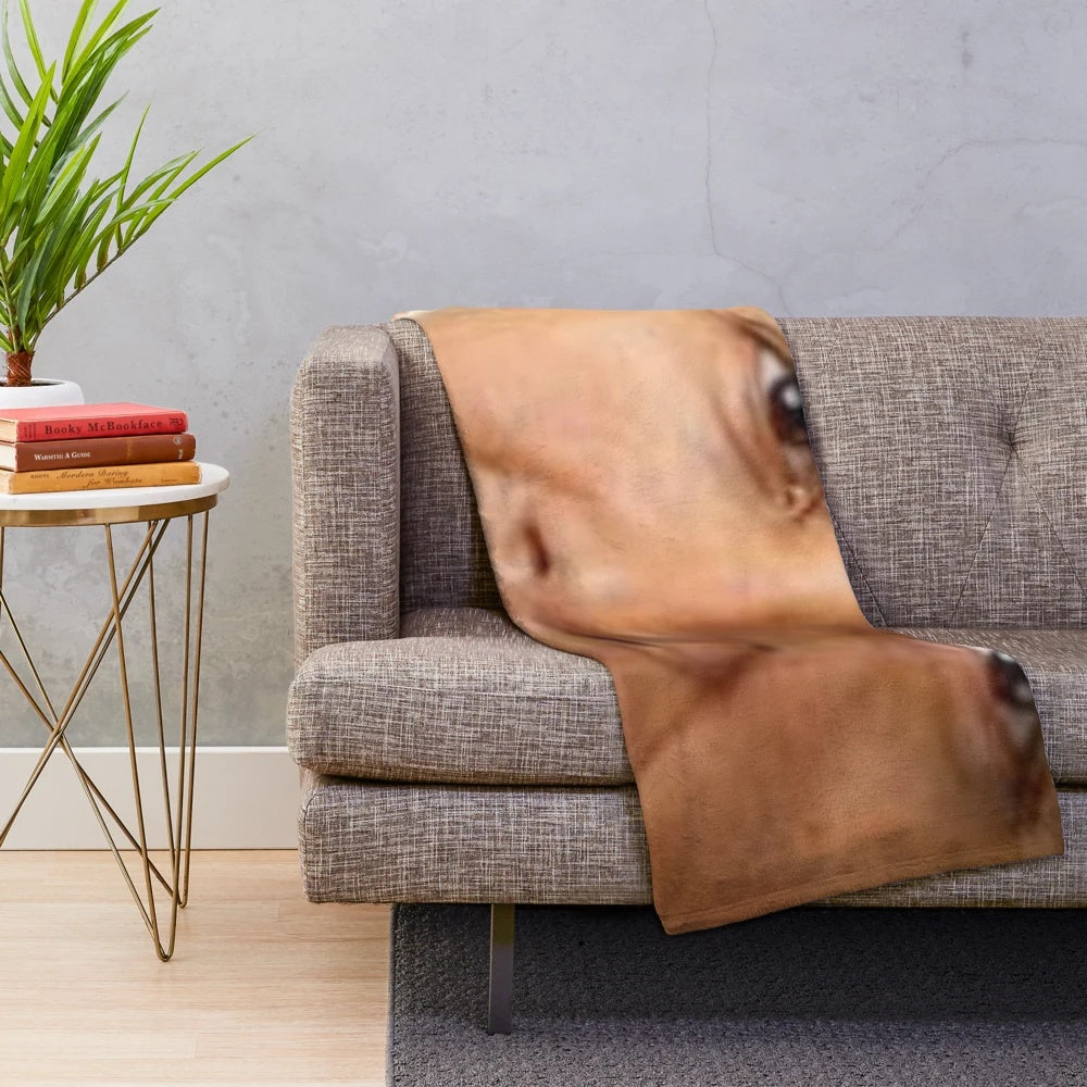 Caricature portrait of President Obama on a soft, plush blanket