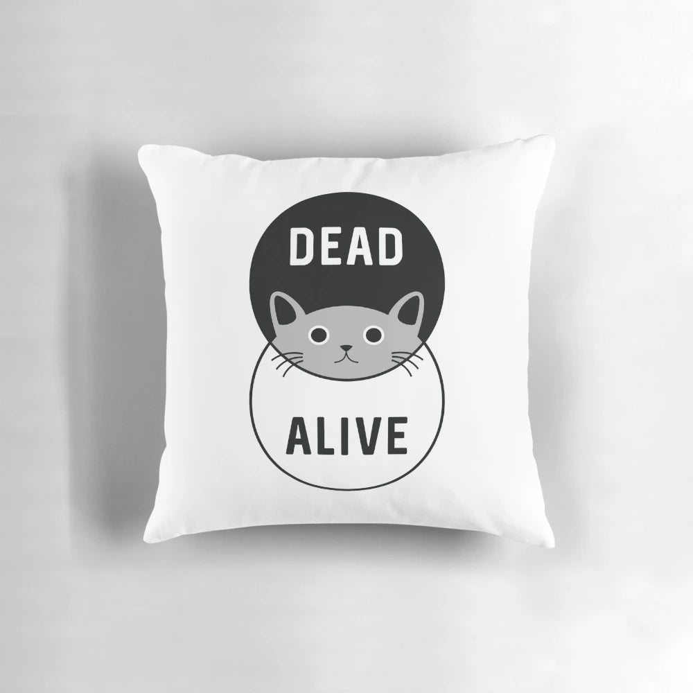 Schrodinger's Cat Quantum Physics Pillow featuring a graphic of a cat in a box