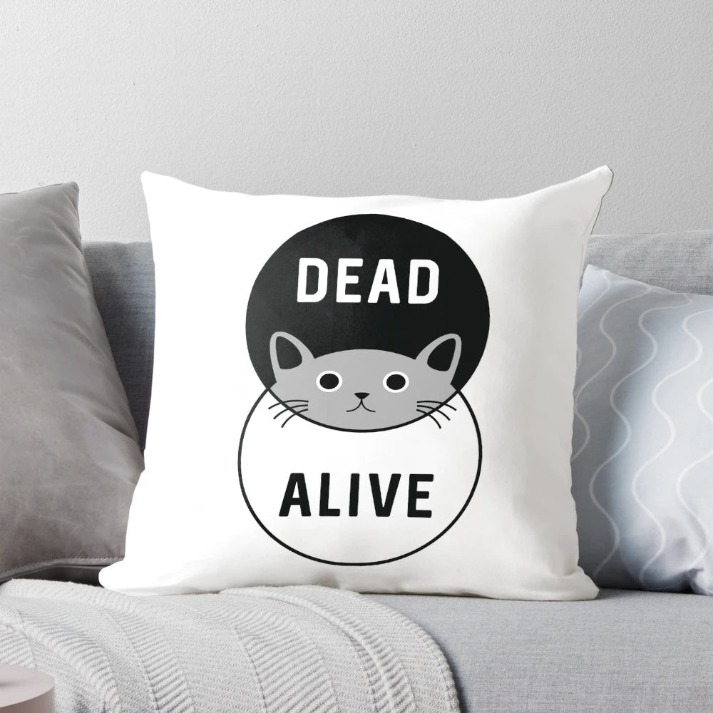 Schrodinger's Cat Quantum Physics Pillow featuring a graphic of a cat in a box
