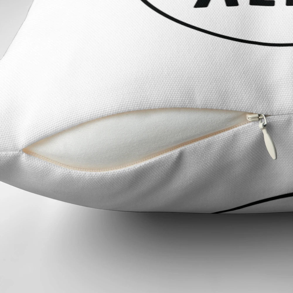 Schrodinger's Cat Quantum Physics Pillow featuring a graphic of a cat in a box
