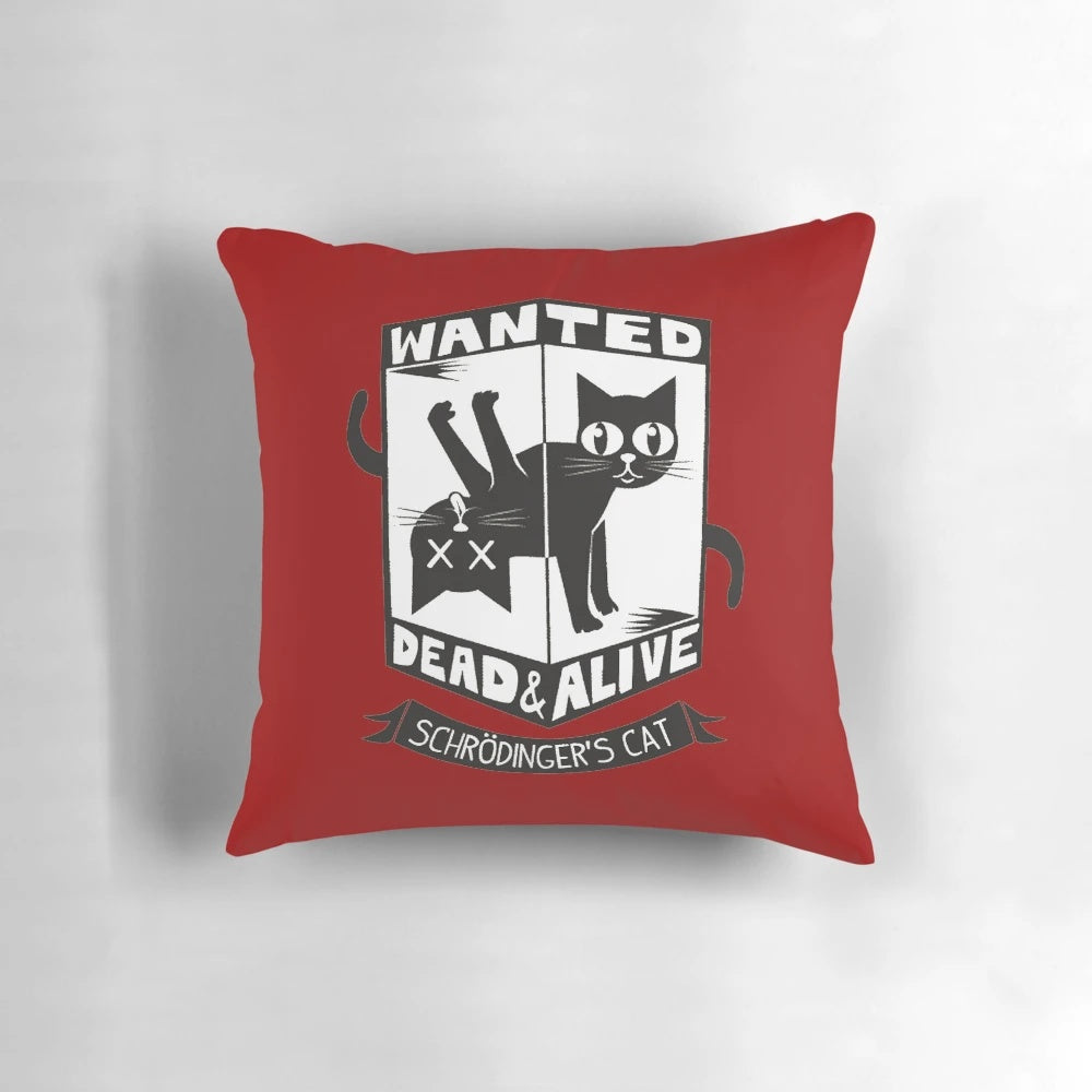 A throw pillow featuring the Schrodinger's Cat thought experiment from quantum physics.