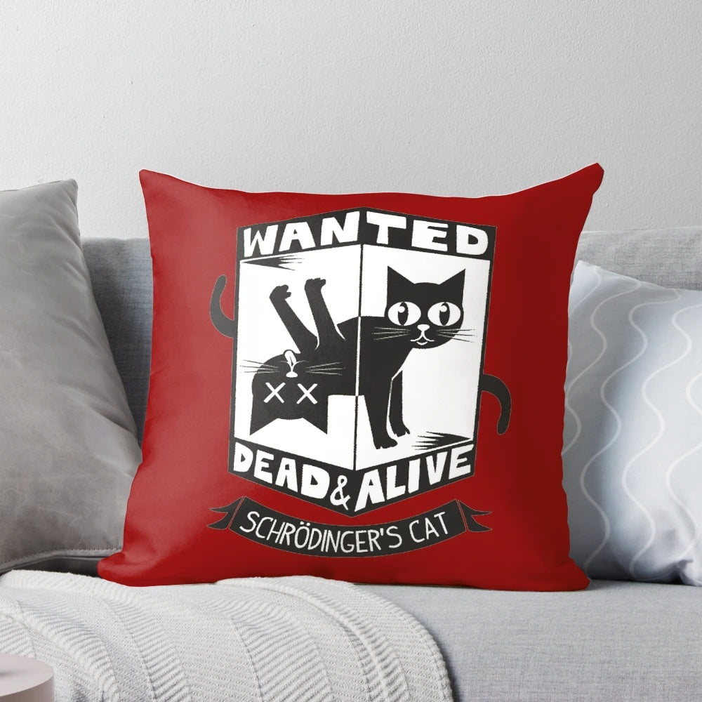 A throw pillow featuring the Schrodinger's Cat thought experiment from quantum physics.