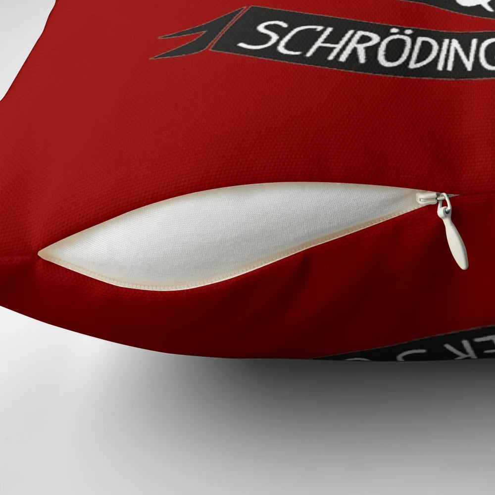 A throw pillow featuring the Schrodinger's Cat thought experiment from quantum physics.
