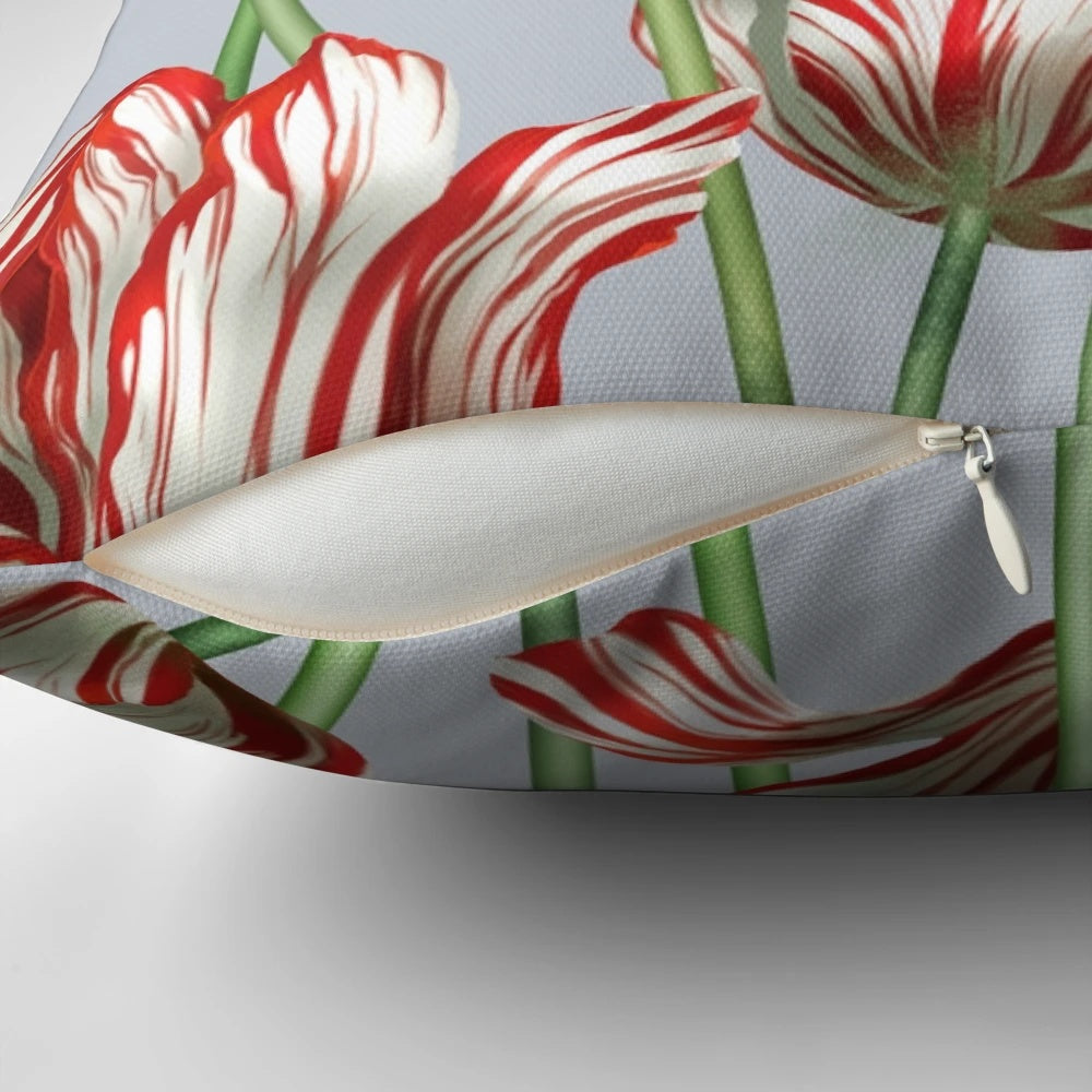 A decorative pillow featuring the vibrant red and white Semper Augustus tulip, a famous Dutch tulip variety from the Tulip Mania era.