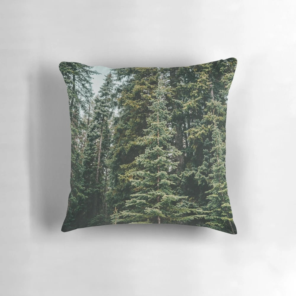 Lush green evergreen forest in the Canadian mountains during summer