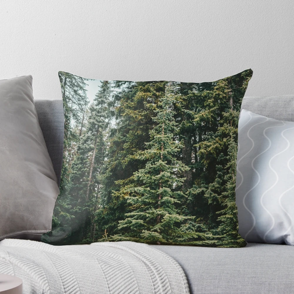 Lush green evergreen forest in the Canadian mountains during summer