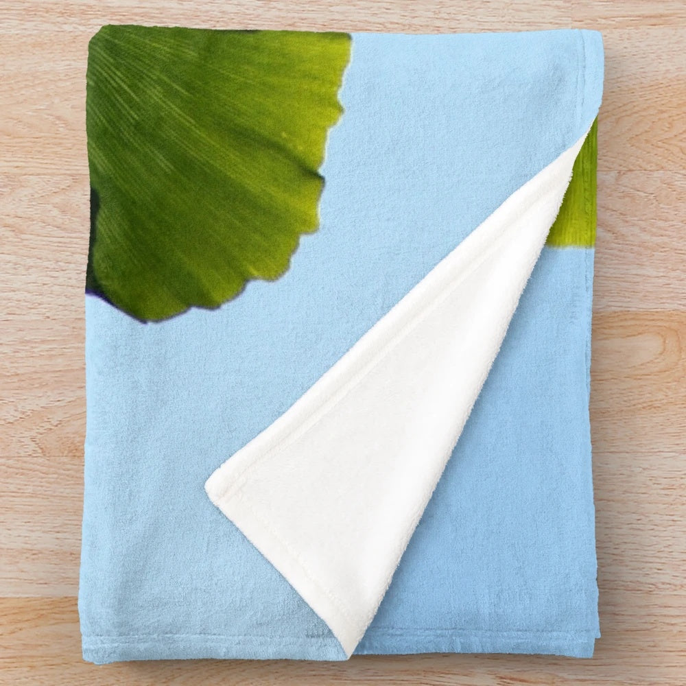 Ginkgo biloba tree leaves printed on a soft, plush blanket