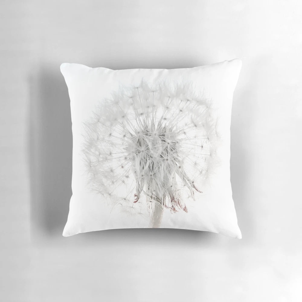 A close-up photograph of a delicate white dandelion flower set against a plain white background.