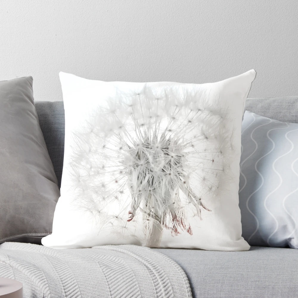 A close-up photograph of a delicate white dandelion flower set against a plain white background.