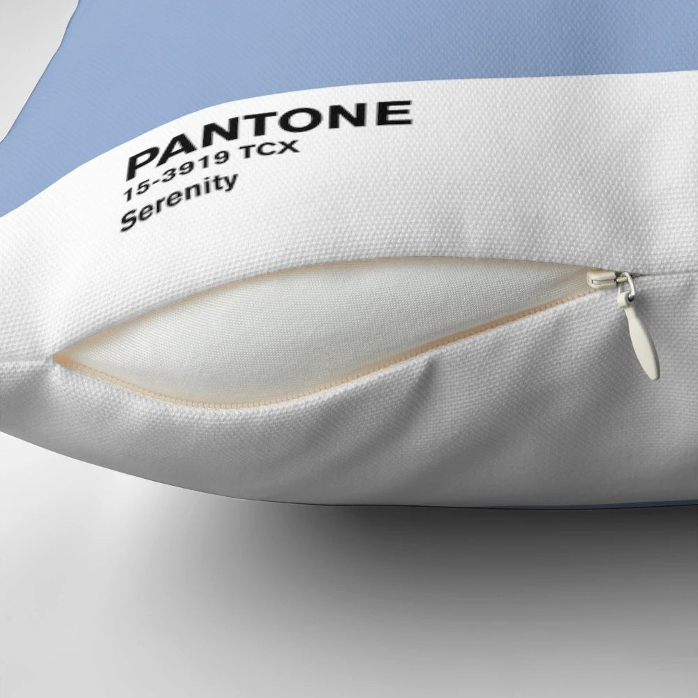 Serenity Blue Pantone Cloud Decorative Pillow