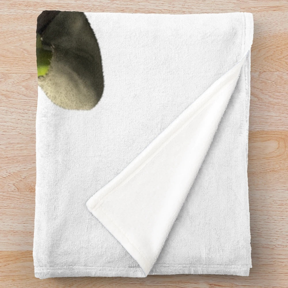 Shrek and Donkey plush blanket featuring the beloved characters from the popular Shrek movies