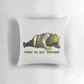 A plush, green Shrek-themed pillow featuring the iconic ogre character from the Dreamworks film franchise.