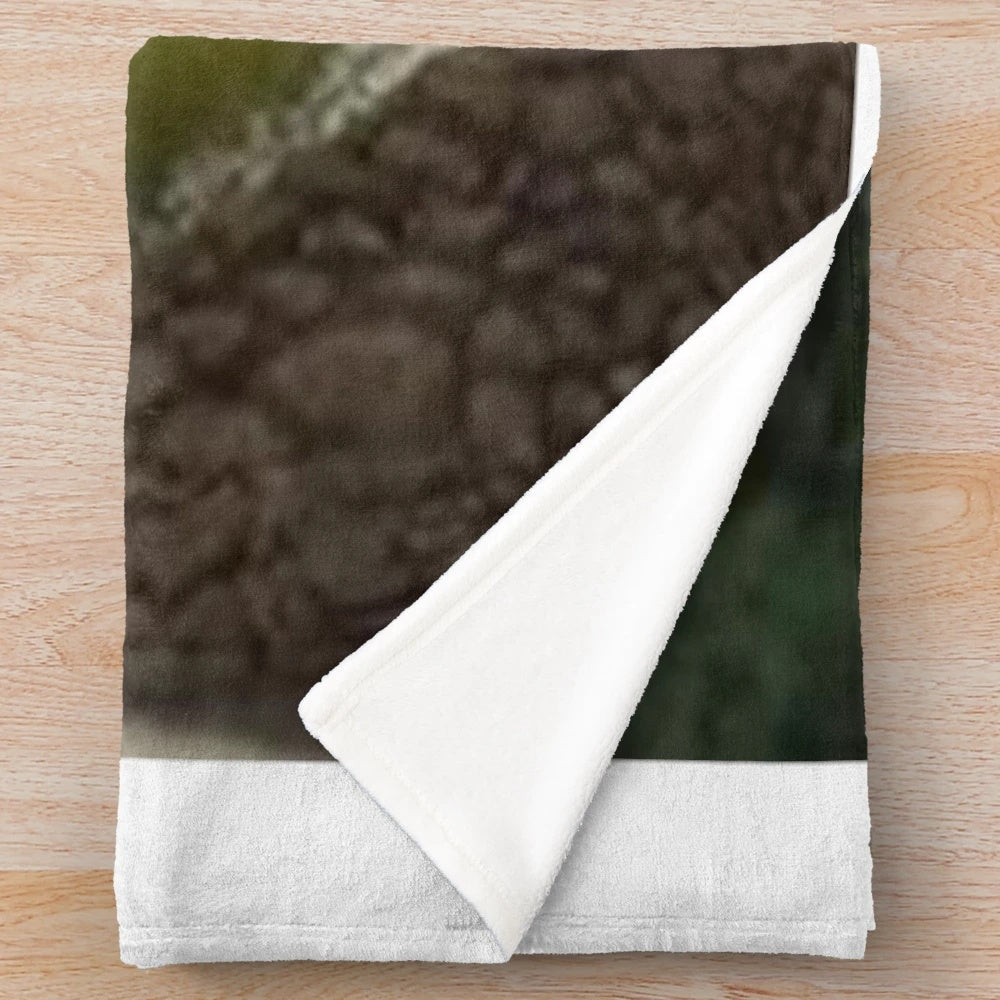 Shrek meme plush blanket