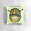 Shrek Steve Harvey Meme Pillow - Funny and Unique Bedroom Accessory