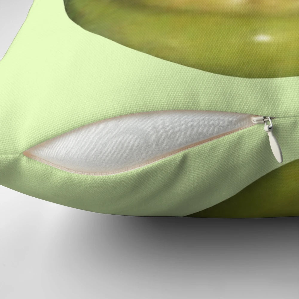 Shrek Steve Harvey Meme Pillow - Funny and Unique Bedroom Accessory