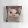 Soft and plush smiling beluga cat pillow with a whimsical, meme-inspired design.