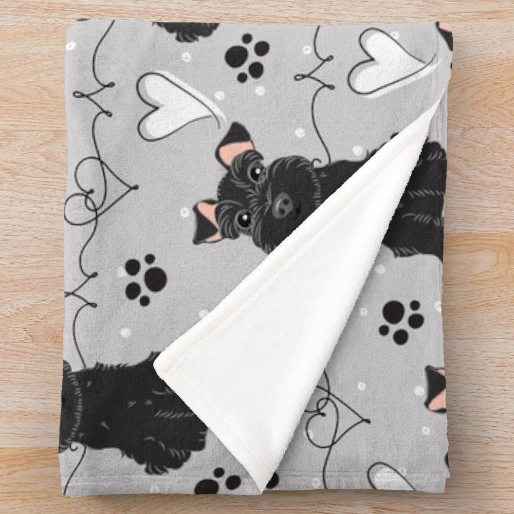 Black and white miniature schnauzer dog on a soft, plush blanket