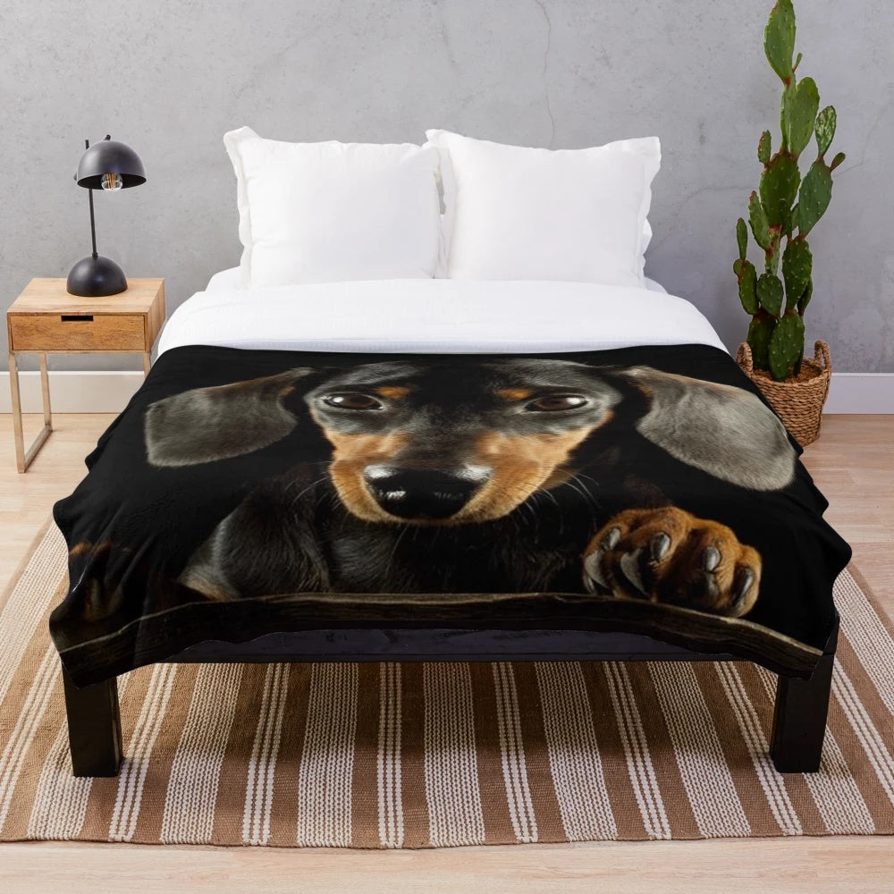 Dachshund dog portrait design on a cozy plush blanket