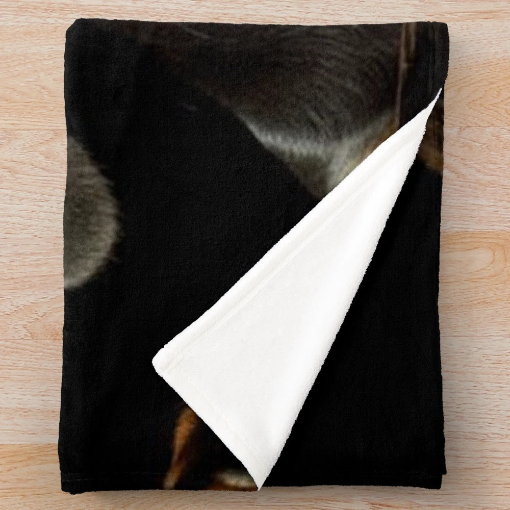 Dachshund dog portrait design on a cozy plush blanket