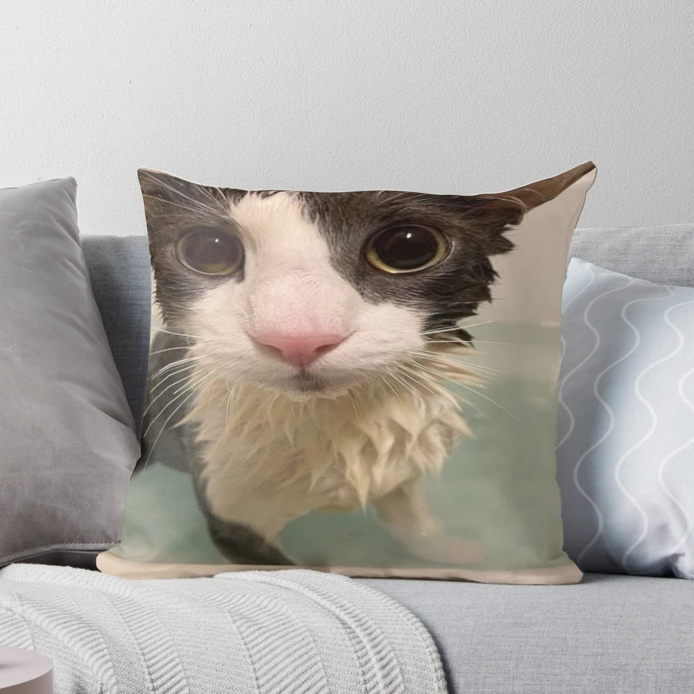 Plush, soft pillow with an image of a wet, playful cat curled up on it