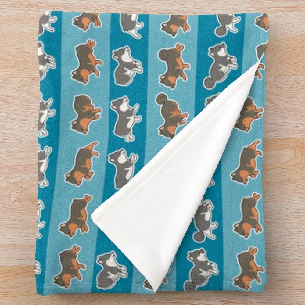 Swedish Vallhund dog on a cozy plush blanket