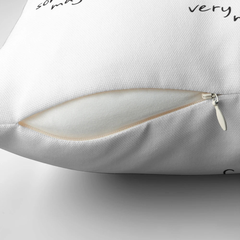 How Planes Fly" Pillow with an illustration of a plane in flight