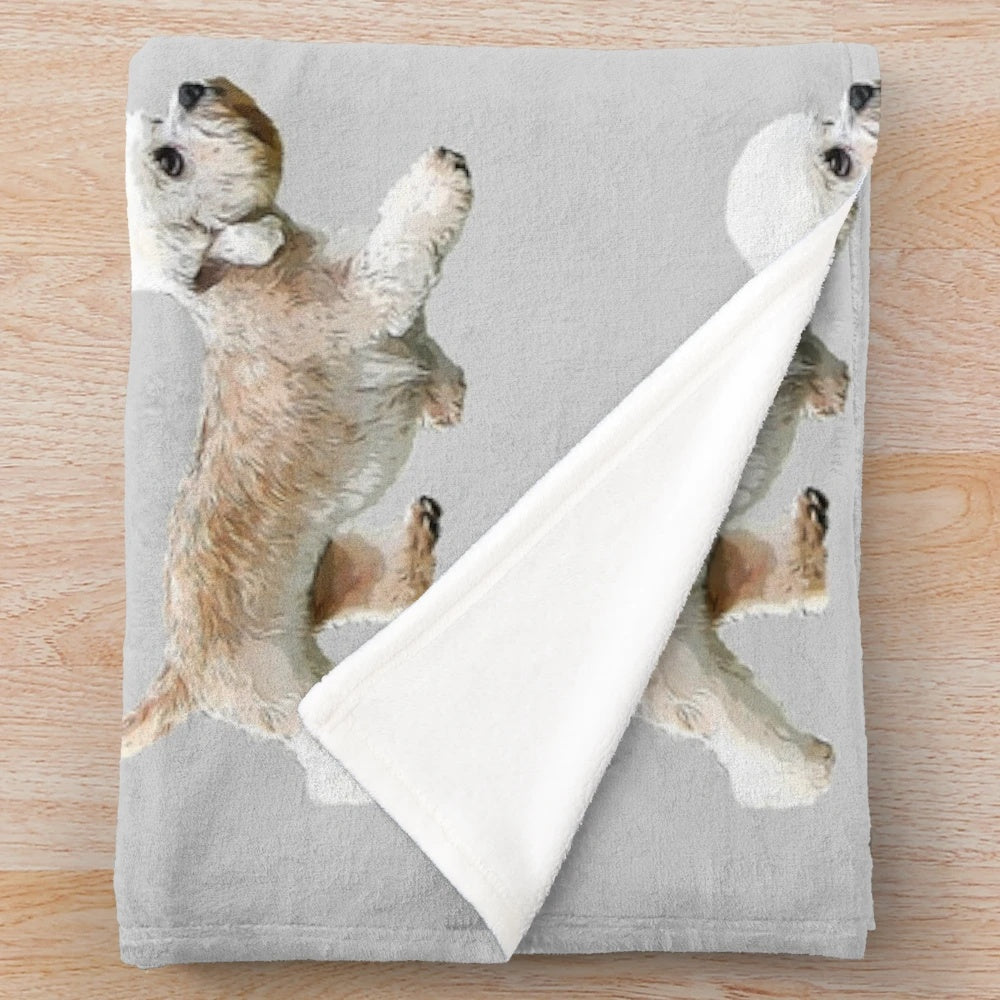 Dandie Dinmont Terrier plush blanket