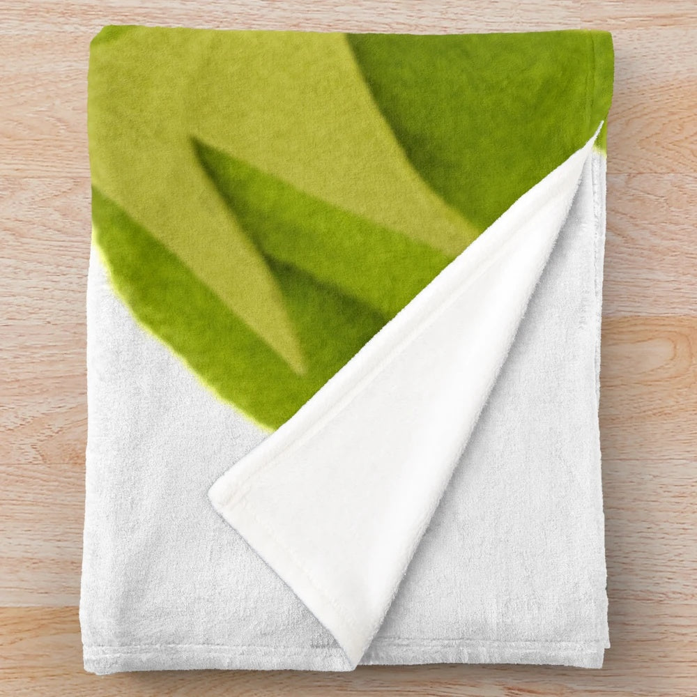 Kermit the Frog plush blanket