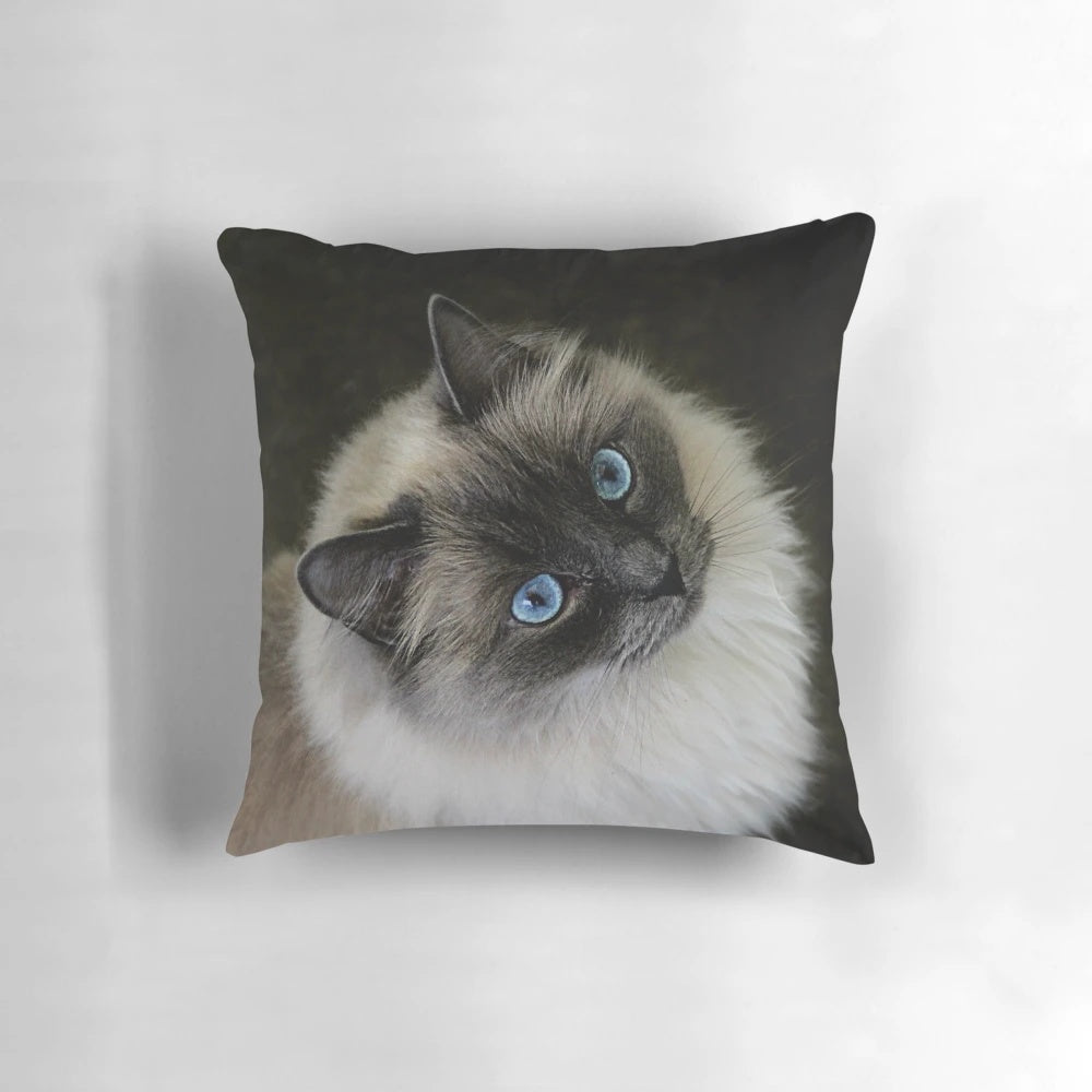 Soft and plush pillow featuring a ragdoll cat design