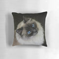 Soft and plush pillow featuring a ragdoll cat design