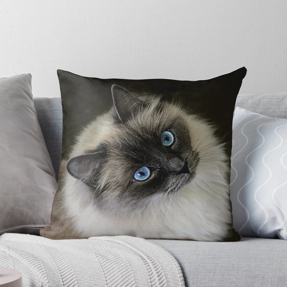 Soft and plush pillow featuring a ragdoll cat design