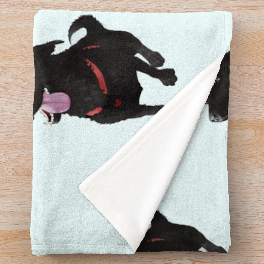 Soft and cozy plush blanket for pets and animals