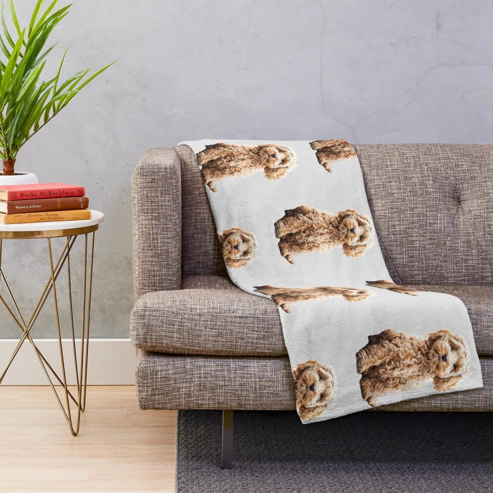 Adorable poodle mix puppy on a soft, plush blanket