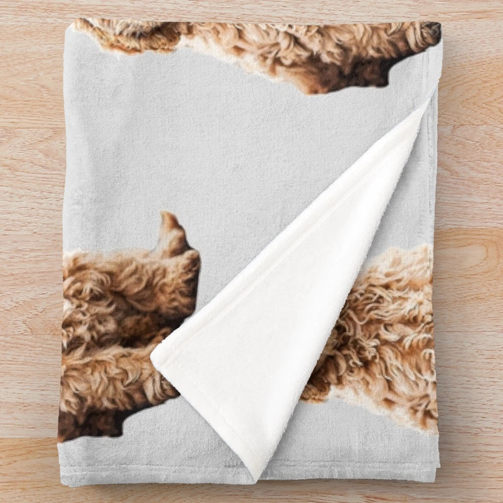 Adorable poodle mix puppy on a soft, plush blanket