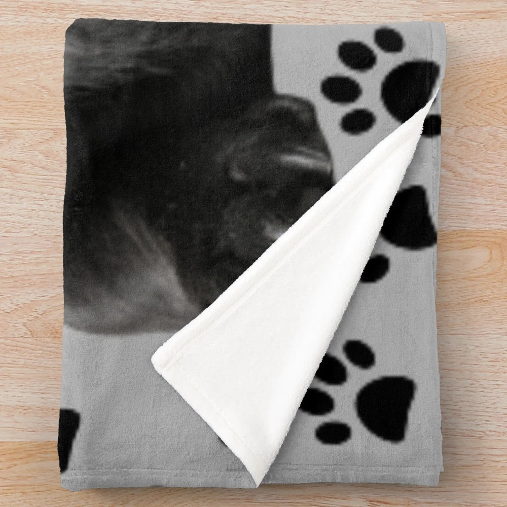 Black pug plush blanket