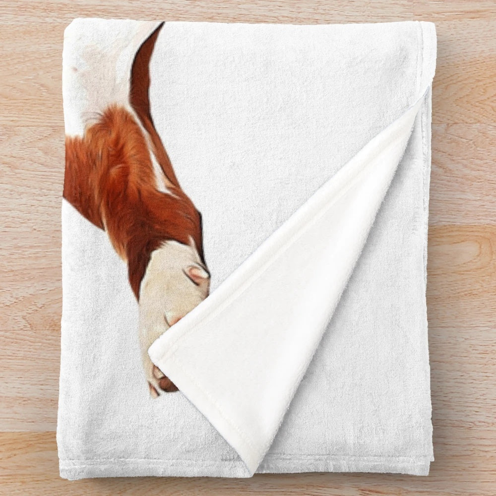 Adorable boxer dog plush blanket