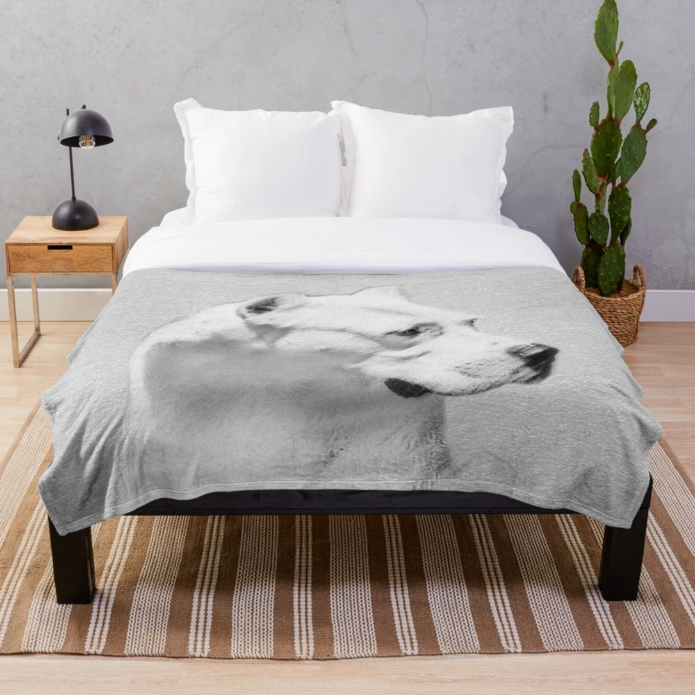 Dogo Argentino dog portrait on a soft, fluffy plush blanket