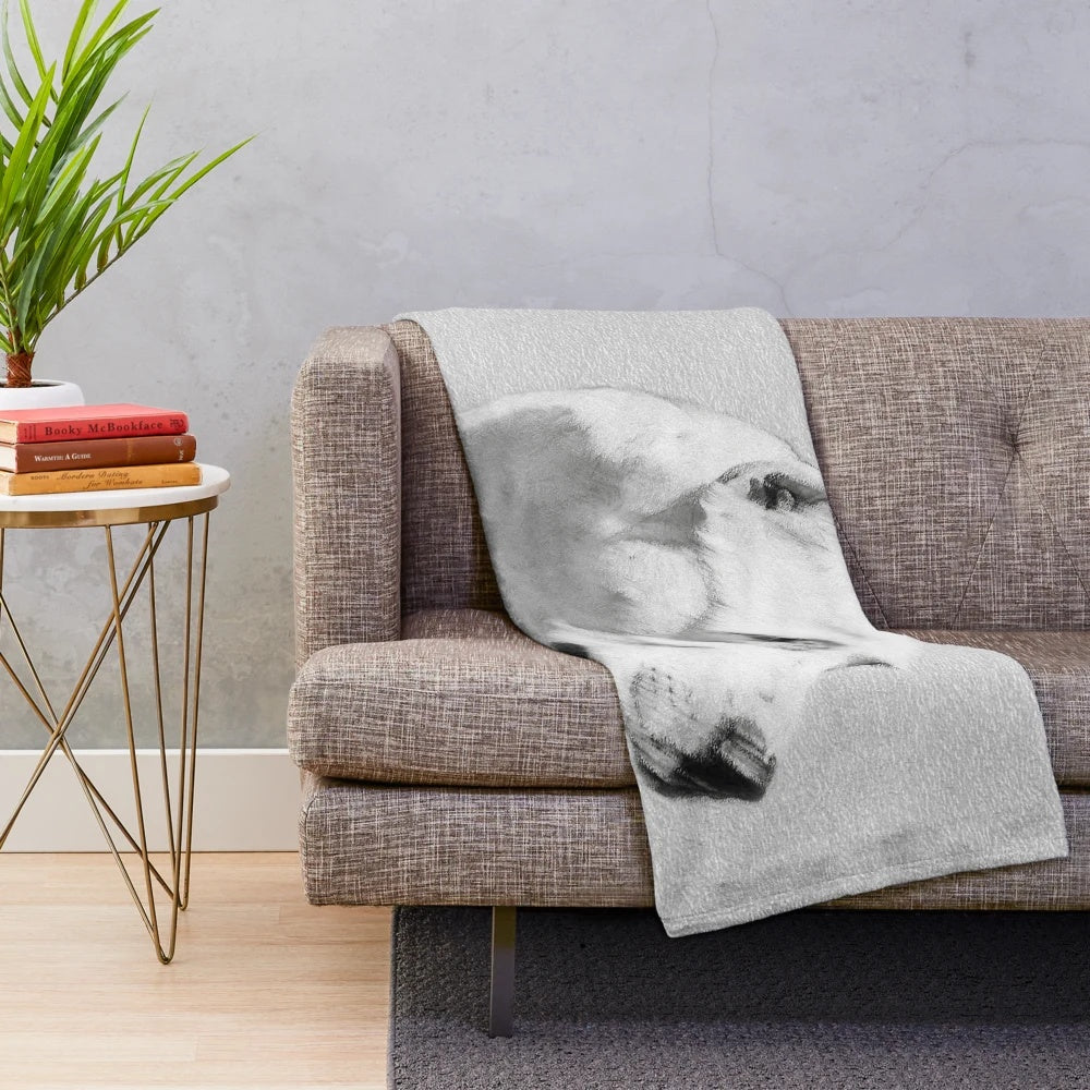 Dogo Argentino dog portrait on a soft, fluffy plush blanket